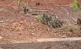 Imagem: Vendo Lote comercial