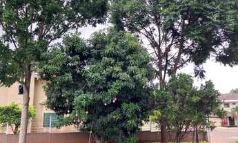 Imagem 7: Casa para venda no Residencial Palmares com 05 quartos em Park Way - DF