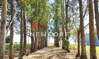 Imagem 2: Sítio em Rua Saldanha Marinho - Centro - Itapetininga/SP