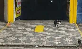 Imagem 1: VENDO/TROCO ESTACIONAMENTO