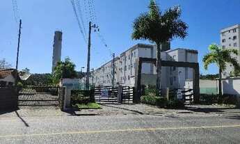 Imagem: Oportunidade Única em JARAGUA DO SUL