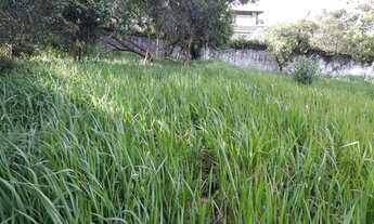 Imagem 7: Único terreno a venda