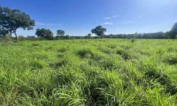 Imagem 5: ? Vendo lindo sítio em Palmas/TO - sentido Taquarussu/Buritirana