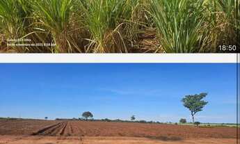 Imagem 7: Fazenda de cana Fazenda / sítio com venda por R$8.160.000