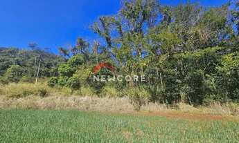 Imagem 4: Sítio em Estrada do Galo - Patrimônio Selva - Selva/PR