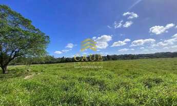 Imagem 7: Imóvel para venda com 101000 metros quadrados em Águas Claras - Viamão - RS