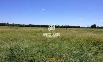 Imagem 6: GRANDE FAZENDA NO NORTE DE MINAS PARA PECUARIA DE 8 MIL HA BEM FOMADA E COM RIO