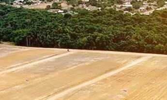 Imagem: Terreno no Loteamento Parque Buritis