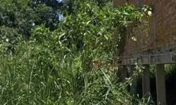 Imagem 3: Casa com terreno no Taquari em Paraty