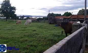 Imagem 4: Fazenda à Venda em Diorama GO