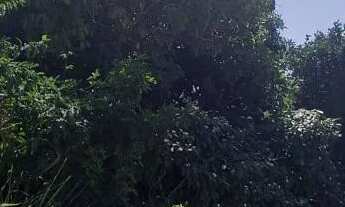 Imagem 7: Casa em Olinda Bultrins