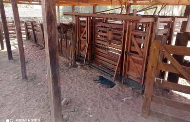 Imagem 4: Fazenda 65 alquires em Baliza GO