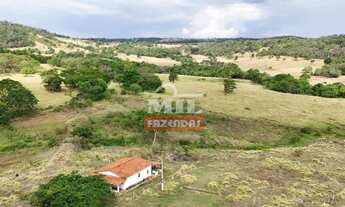 Imagem 6: Chacara 11 alqueires (53,24 hectares) araçu - Go