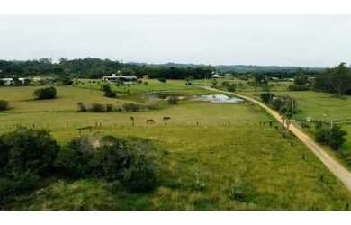 Imagem 4: Fazenda-Sítio com 4 Dormitorio(s) localizado(a) no bairro São José em Viamão / Ref.:OR6918