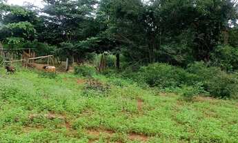 Imagem 7: Oportunidade única! Vende-se terreno no Jardim Ingá- Luziania/GO