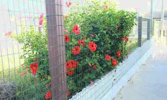 Imagem 7: Alugo,temporada casas Bem Estruturas 1, 2 e 3 Quartos, No Centro e Beira mar Pinhal C/ Wi