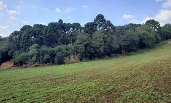Imagem 6: Chácara com 6,1 alqueires Marmeleiro - Almirante Tamandaré