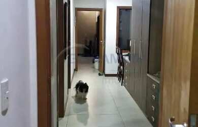 Imagem 7: Casa com 3 Suítes, Habite-se e Lote de 1000m² no Condomínio Santa Mônica - Jardim Botânico