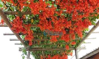 Imagem 4: Terreno à venda, 1073 m² por R$ 120.000,00 - Condomínio Retiro da Mata - Jequitibá/MG