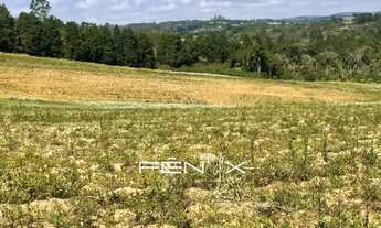 Imagem 6: Seu projeto começa aqui