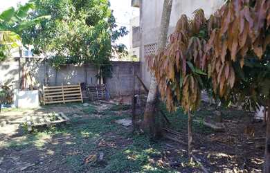 Imagem 6: Terreno em Barramares todo Murado ótima Localização
