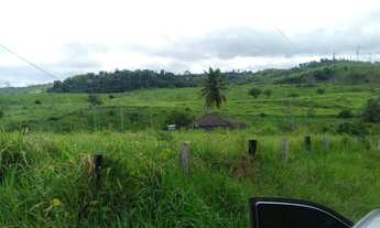 Imagem 3: Fazenda 85 alqueires abel figueiredo pará