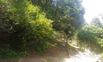 Imagem 4: São Roque - Casa Padrão - Esplanada Mendes Moraes