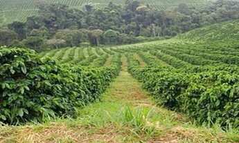Imagem 2: FAZENDA SUL DE MINAS GERAIS
