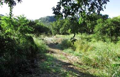 Imagem 2: Fabio Paes Imóveis - Sítio a venda com 30.000 m², plano e com córrego