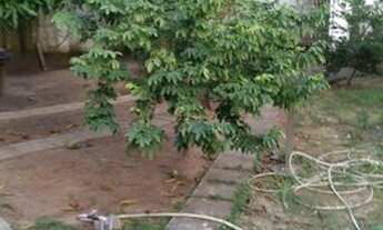 Imagem 5: Vendo casa com 5 quartos em Arembepe valor 430.000