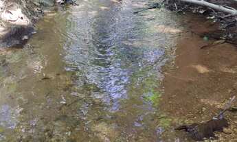 Imagem 4: Chácaras parceladas próximo a Anápolis