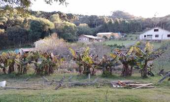 Imagem 4: Chalé em chacara para alugar por dia