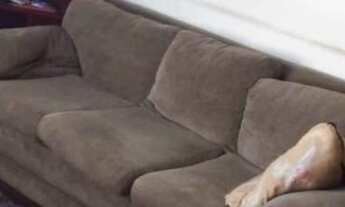 Imagem 7: Imóvel 3dts Vila Hortência