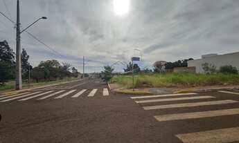 Imagem: Toledo - Lote/Terreno - Pinheirinho