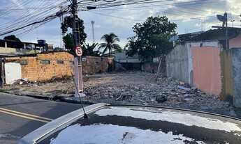 Imagem 4: TERRENO 490m2 NO ADRIANÓPOLIS/V8