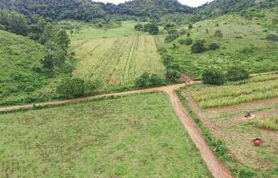 Imagem 4: Propriedade de 15 alqueires