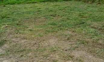 Imagem: VENDO TERRENO 12X25 ( Sena Madureira