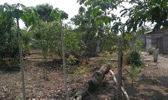 Imagem 6: Vende-se terreno