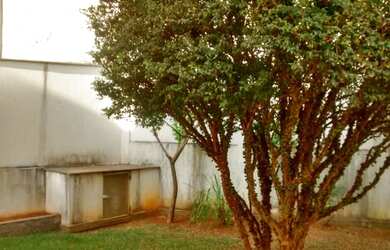 Imagem 7: Casa 371m2 3 quartos, 4 vagas, Bairro Minaslandia