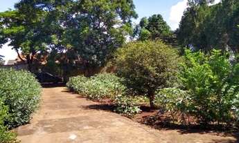 Imagem 3: Chacara em Maringa