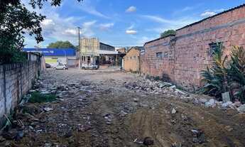 Imagem 5: TERRENO 490m2 NO ADRIANÓPOLIS/V8