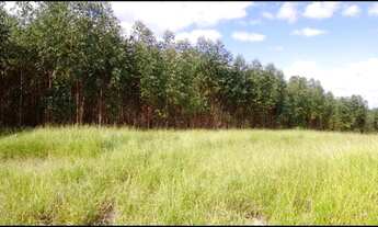 Imagem 2: Sítio em Itapetininga