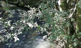 Imagem 5: Sítio para venda em Itapetininga tem 2 alqueires, com casa e tanque