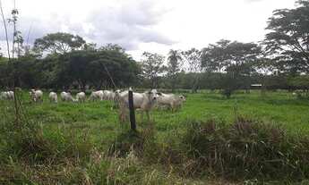 Imagem 4: Compre sua fazendinha na Zona Rural de Araçai próximo a Sete Lagos ! Agende sua visita !!