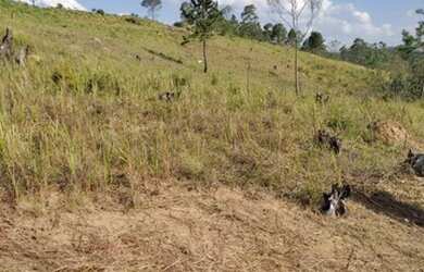 Imagem 2: Priorizamos a sua escolha