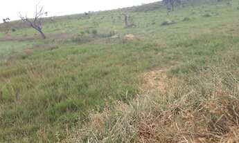 Imagem 7: FAZENDINHAS com a frente cercada e porteira