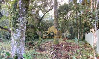 Imagem 6: Terreno à venda, 592 m² por R$ 375.000,00 - Bosque Sinoserra - Canela/RS