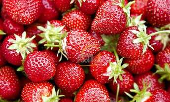 Imagem 5: LINDA CASA À VENDA COM ÓTIMA LOCALIZAÇÃO EM ATIBAIA/SP!