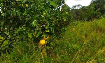 Imagem 4: VENDO SÍTIO (estância-se) 300 MIL