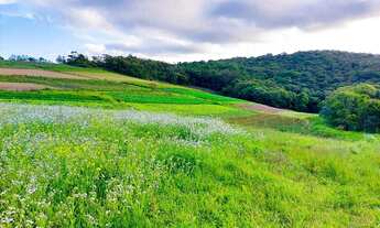 Imagem 5: Lote/Terreno para venda possui 500 metros quadrados em Parque Paraíso - Itapecerica da Ser
